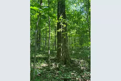 0 Monument Road, Jasper, GA 30143 - Photo 2