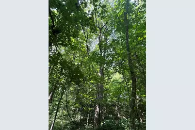 0 Monument Road, Jasper, GA 30143 - Photo 8