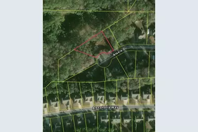 222 Alexis Drive, Dallas, GA 30132 - Photo 4