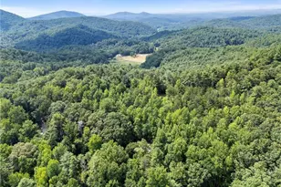218 Hester Gap Rd, Cleveland, GA 30528 - Photo 38