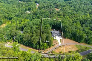 87 Whisper Pl, Jasper, GA 30148 - Photo 8