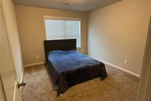 389 White Trillium Dr, Hoschton, GA 30548 - Photo 12