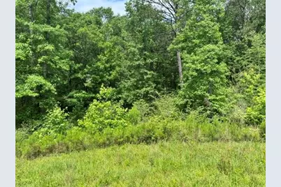 73 Allie Road, Greenville, GA 30222 - Photo 8