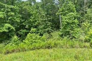 73 Allie Rd, Greenville, GA 30222 - Photo 8