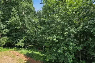 119 Oliver Overlook, Dallas, GA 30132 - Photo 50