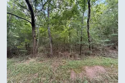 280 Nixon Road, Summerville, GA 30747 - Photo 4