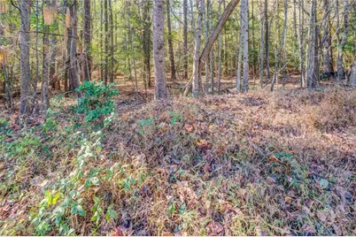 1470 River Station Drive, Lawrenceville, GA 30045 - Photo 8