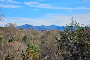 2567 Todd Shook Rd, Young Harris, GA 30582 - Photo 36