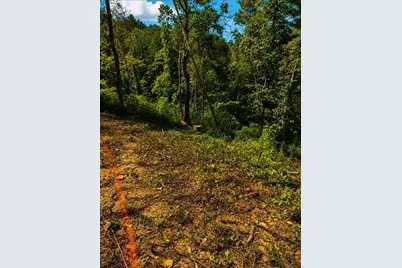 [Address not provided], Marble Hill, GA 30148 - Photo 4