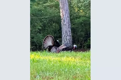 35 Prayer Trail, Aragon, GA 30104 - Photo 56