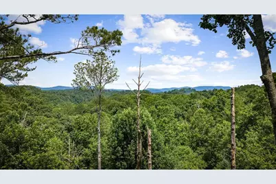 290 Graham Court, Ellijay, GA 30540 - Photo 62