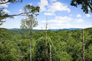 290 Graham Ct, Ellijay, GA 30540 - Photo 62