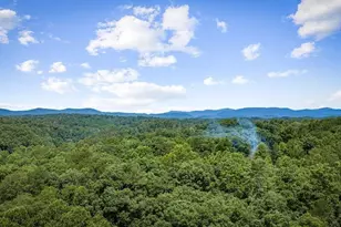 290 Graham Ct, Ellijay, GA 30540 - Photo 62