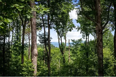290 Graham Court, Ellijay, GA 30540 - Photo 58