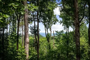 290 Graham Ct, Ellijay, GA 30540 - Photo 56