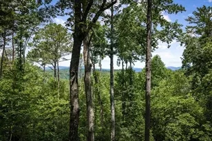 290 Graham Ct, Ellijay, GA 30540 - Photo 4