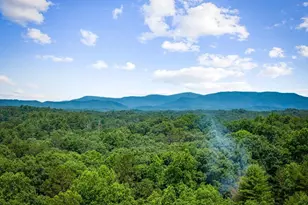 290 Graham Ct, Ellijay, GA 30540 - Photo 60