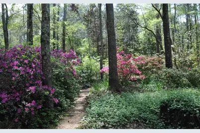 385 Vaughn Road, Newnan, GA 30265 - Photo 2