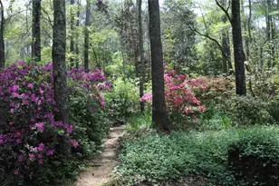 385 Vaughn Rd, Newnan, GA 30265 - Photo 2
