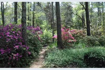 385 Vaughn Road, Newnan, GA 30265 - Photo 2