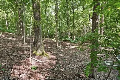 49 Little Beaver Run, Big Canoe, GA 30143 - Photo 28