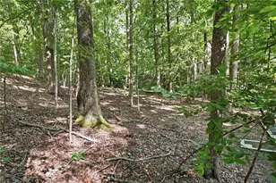 49 Little Beaver Run, Big Canoe, GA 30143 - Photo 28