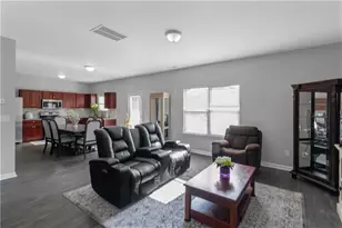 411 Bandelier Cir, Hampton, GA 30228 - Photo 6