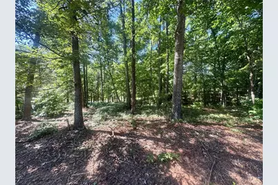 0 Teel Mountain Dr, Cleveland, GA 30528 - Photo 1