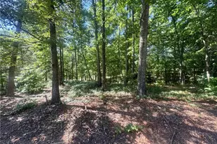 0 Teel Mountain Dr, Cleveland, GA 30528 - Photo 1