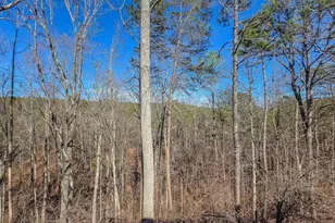 165 Horseshoe Bend, Jasper, GA 30143 - Photo 36