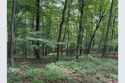 46 Norton Lane, Dahlonega, GA 30533 - Photo 4