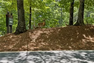 208 Trout Lily Trail, Jasper, GA 30143 - Photo 58