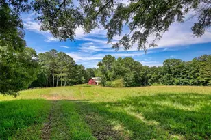 2665 Macedonia Rd, Franklin, GA 30217 - Photo 8
