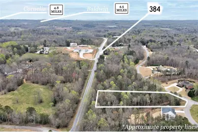 240 Woodmont Drive, Cornelia, GA 30531 - Photo 8
