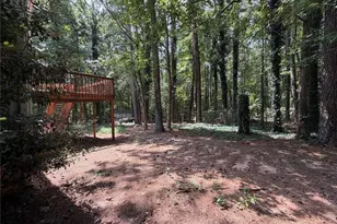 435 Lower Burris Rd, Canton, GA 30114 - Photo 40