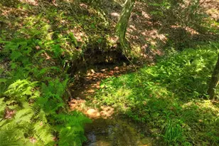 279 Shallow Water Trail, Talking Rock, GA 30175 - Photo 62