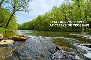 279 Shallow Water Trail, Talking Rock, GA 30175 - Photo 66