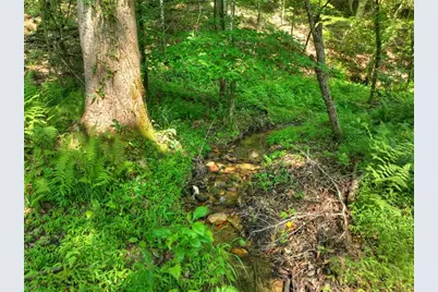 279 Shallow Water Trail, Talking Rock, GA 30175 - Photo 58