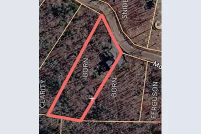 175 Mountain Brooks Road, Blue Ridge, GA 30513 - Photo 62