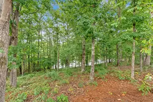 205 Lakeside Pl, Canton, GA 30114 - Photo 44