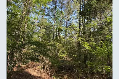 0 Clear Lake Drive, Adairsville, GA 30103 - Photo 36