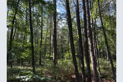 0 Clear Lake Drive, Adairsville, GA 30103 - Photo 16