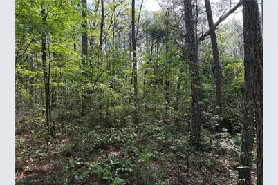 0 Clear Lake Drive, Adairsville, GA 30103 - Photo 26