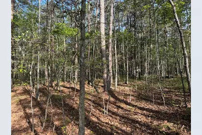 0 Clear Lake Drive, Adairsville, GA 30103 - Photo 32