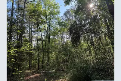 0 Clear Lake Drive, Adairsville, GA 30103 - Photo 1
