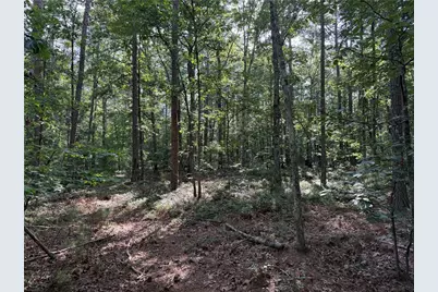 0 Clear Lake Drive, Adairsville, GA 30103 - Photo 18
