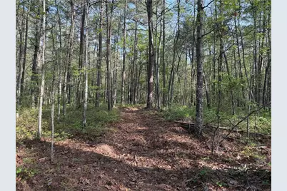0 Clear Lake Drive, Adairsville, GA 30103 - Photo 30