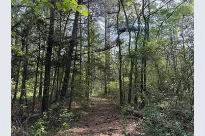 0 Clear Lake Drive, Adairsville, GA 30103 - Photo 6