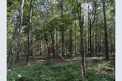 0 Clear Lake Drive, Adairsville, GA 30103 - Photo 2