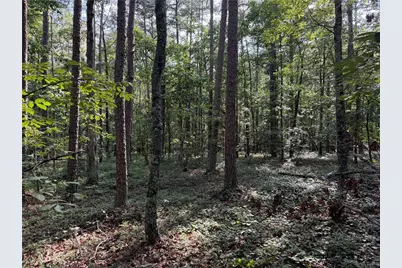 0 Clear Lake Drive, Adairsville, GA 30103 - Photo 10